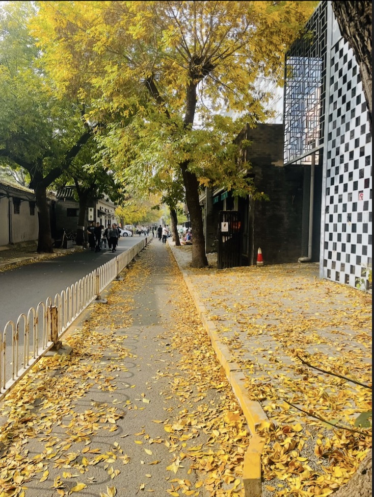 北京雍和宫·秋日落叶