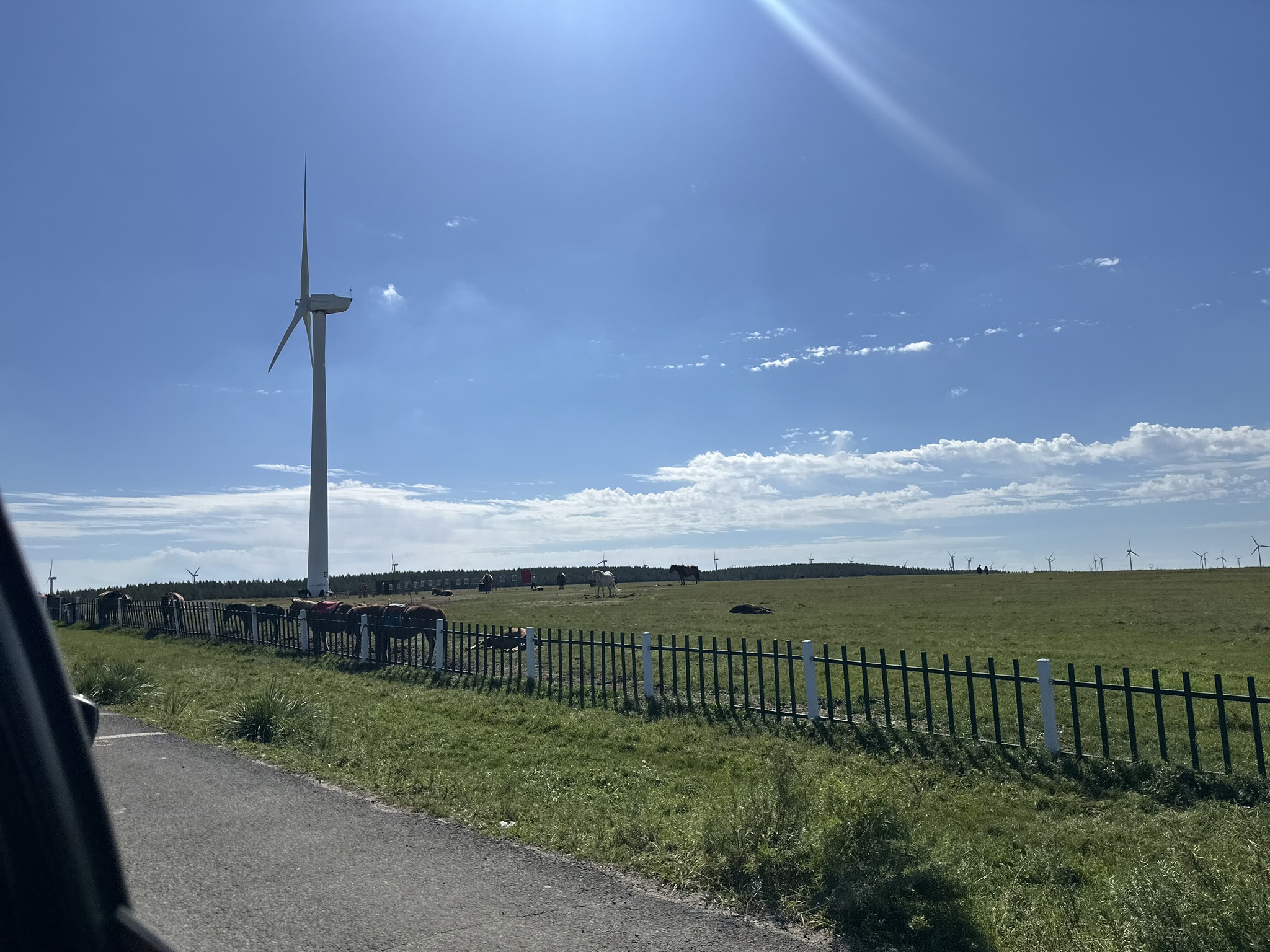 乌兰察布·黄花沟